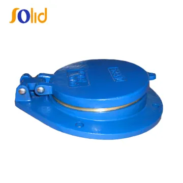Ductile cast iron non return flap valve check valve