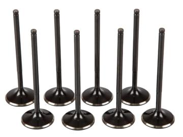 VOLVO TD162 Series Auto Intake Exhaust Engine Valve