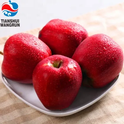 New season tianshui huaniu apple price to bangladesh