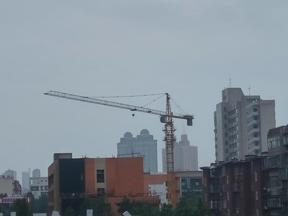 Grue à tour bien connue des machines de construction de Dubaï, 6 t TC