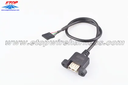 USB cable with lockhole