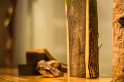 Sandalwood Essential Oil 10ml