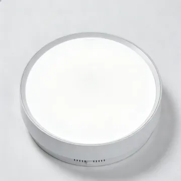 Contemporary ceiling LED light