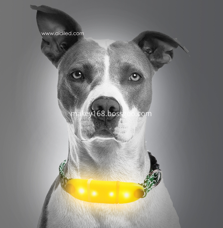 Silicone Lighted-Up Dog Collar