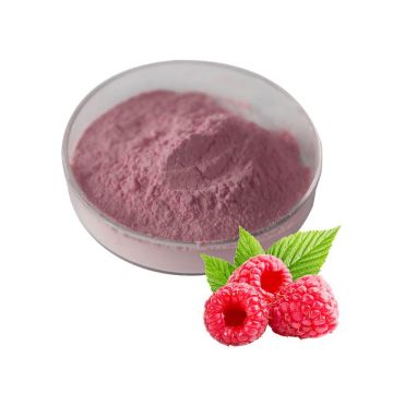 Premium Nutrition Organic Freeze Dried Raspberry Powder