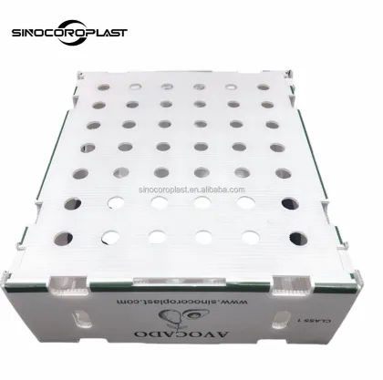 Coroplast Okra Packing Box