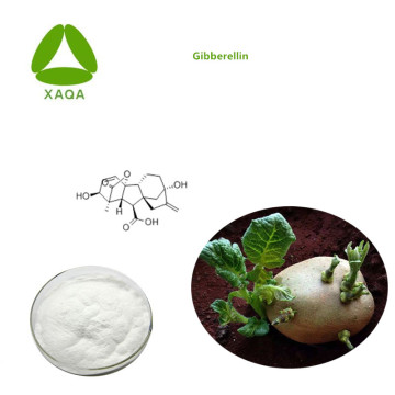 Plant Growth Material Gibberellin Powder CAS No.77-06-5