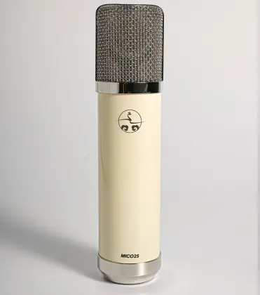 High-Quality Large Diaphragm Microphone for Voice Over