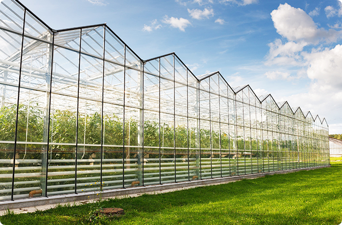 PC sheet in greenhouses