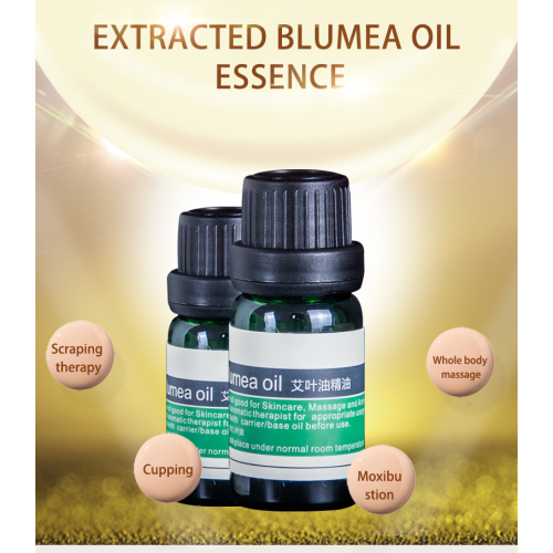 Óleo Essencial de Blumea 100% Pure Therapeutic Grade Therapeutic