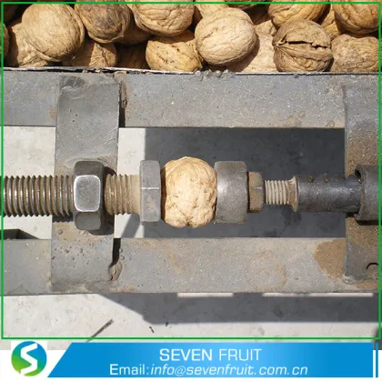 Walnuts Whole With Shell