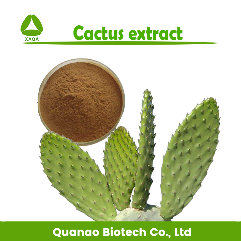 Cactus Caralluma Fimbriata Extract Poeder 10:1 Gewichtsverlies