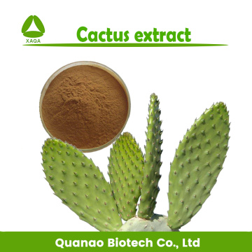 Kaktus Caralluma Fimbriata Extrakt Pulver 10:1 Gewichtsverlust