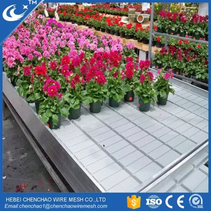 Self-Watering Veggie Table: Greenhouse Kits with Movable Benches for Efficient Cultivation