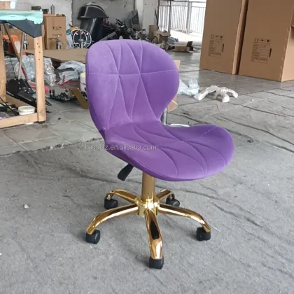 Beauty Salon Master Stool