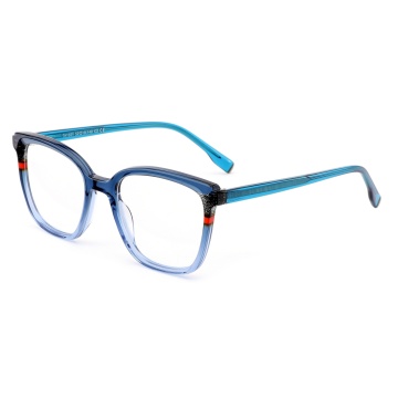 Acetate Frame Recycling Initiative