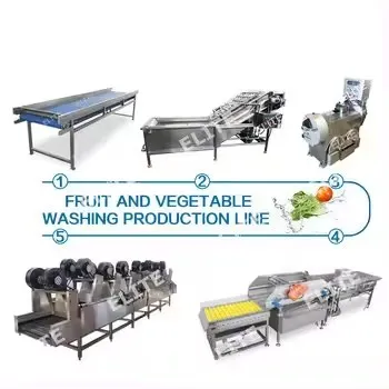 Customised Fruit and Vegetable Processing and Washing Lines