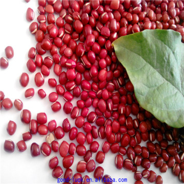 high quality adzuki red beans