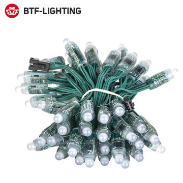 Hottest IP68 WS2811 RGB Bullet Module Smart Pixel LED
