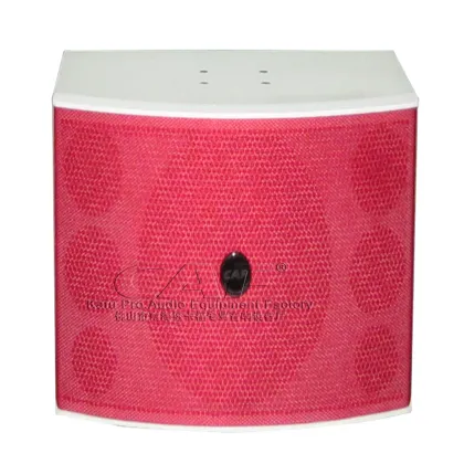 250W Power PA Audio Speakers Karaoke speaker