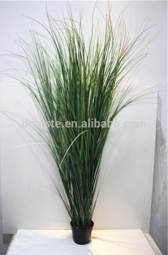 Direct factory price 50 to 150 cm overall tall simulated green potted plant Trichodesma EMCPZ01 07D02
