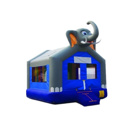 Commercial Grade Bouncy Castle: Indoor/Outdoor Crazy Fun Jumping Castle for Kids