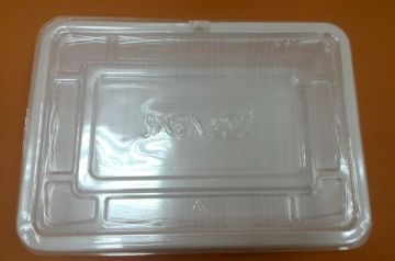 Biodegradable disposable trays
