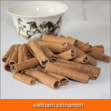 vietnam cinnamon