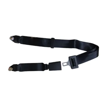 Bus Coach Interior with 2-Point Seat Safety Belts - HC-B-47090