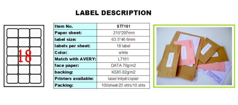 A4 Mailing Labels-St7161