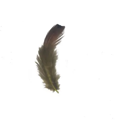 Stained Feather Can Use Make Headwear