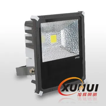 Movie Theatre 20W/30W High Luminous LED Flood Lighting