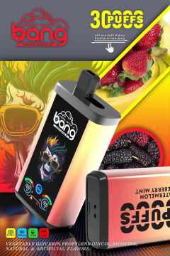 Bang 30000Puffs Switch Flavor Ecig Eshisha Disposable Eshisha