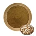 Food Grade Campanulaceae Extract Natural Platycodon Extract