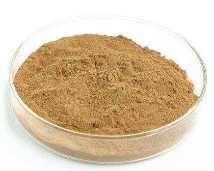 Cushaw Seed Extract Powder