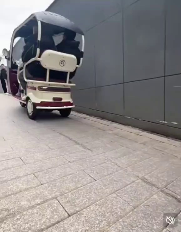 Electric tricycle with rain shelter, double seater