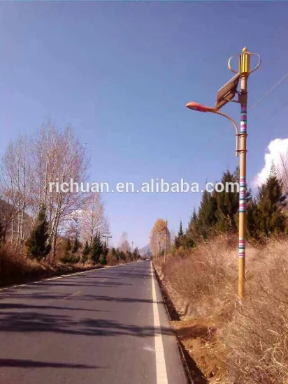 Richuan 1000w mini wind generator
