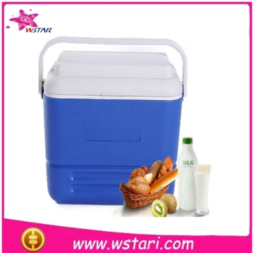 New arrival disposable cooler bag for frozen food,lunch box