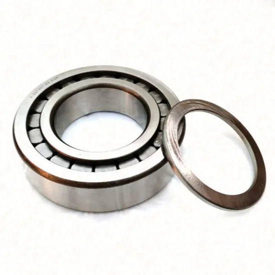 Stock Printing Bearing F-207407.02.NUP