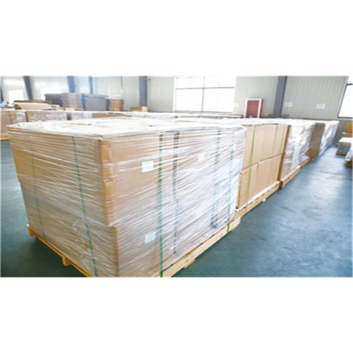 0.02mm-1.6MM pp plastic sheet