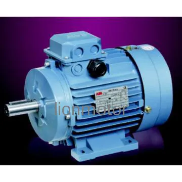 Ms Three Phase Motors