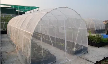 aphids ultra fine mesh