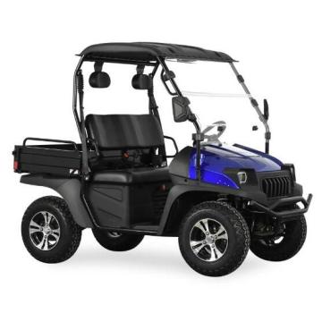 HOT BLUE UTV Electric With EEC