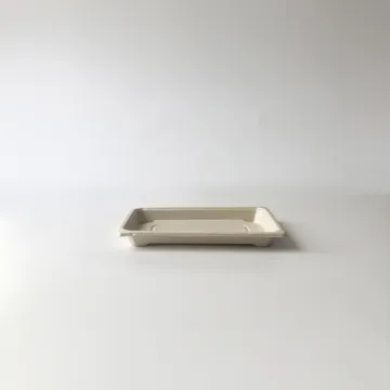 FET10 sushi tray container