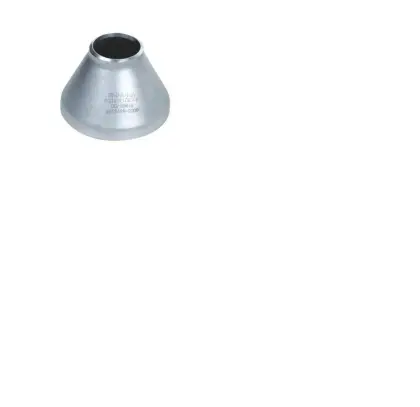Hot 316L Concentric Reducer
