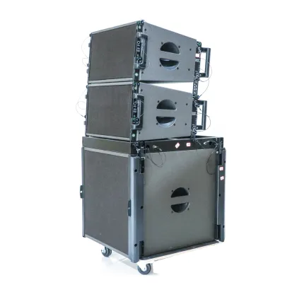 Acoustic LA110 Professional 10 Inch Line Array Speaker for Stage Audio