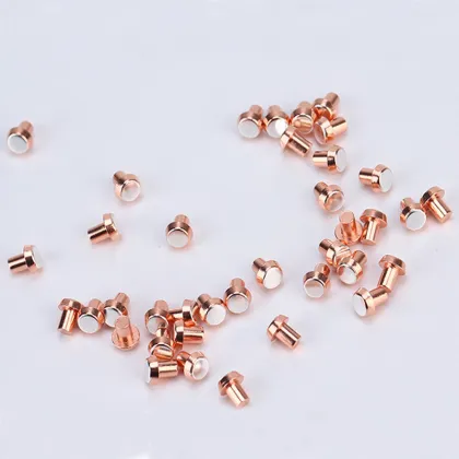 Unique High-Quality Silver Alloy Bimetal Rivet Electrical Contacts