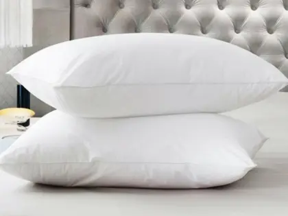 High Quality White Duck Feather Down Pillow