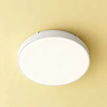24W LED Ceiling Light for Modern Home Lighting