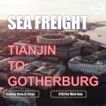 Freight international de la mer de Tianjin à Gotherburg Suède